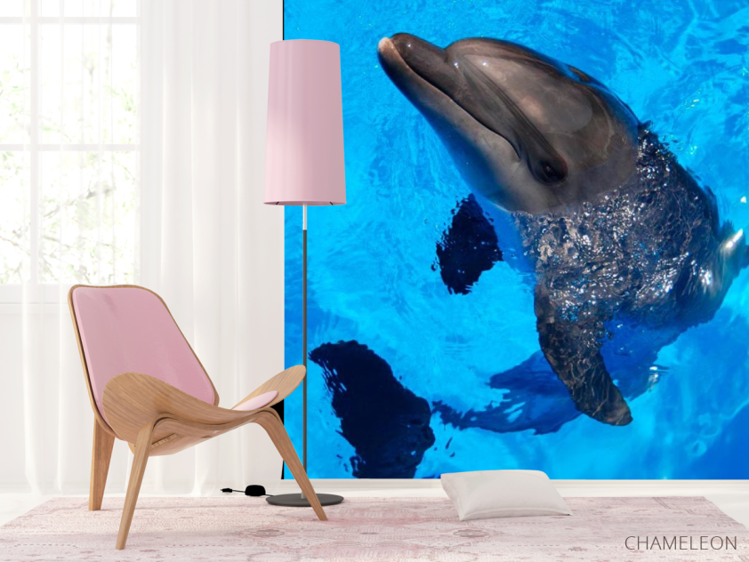 Фотошпалери Жвавий дельфін - 4