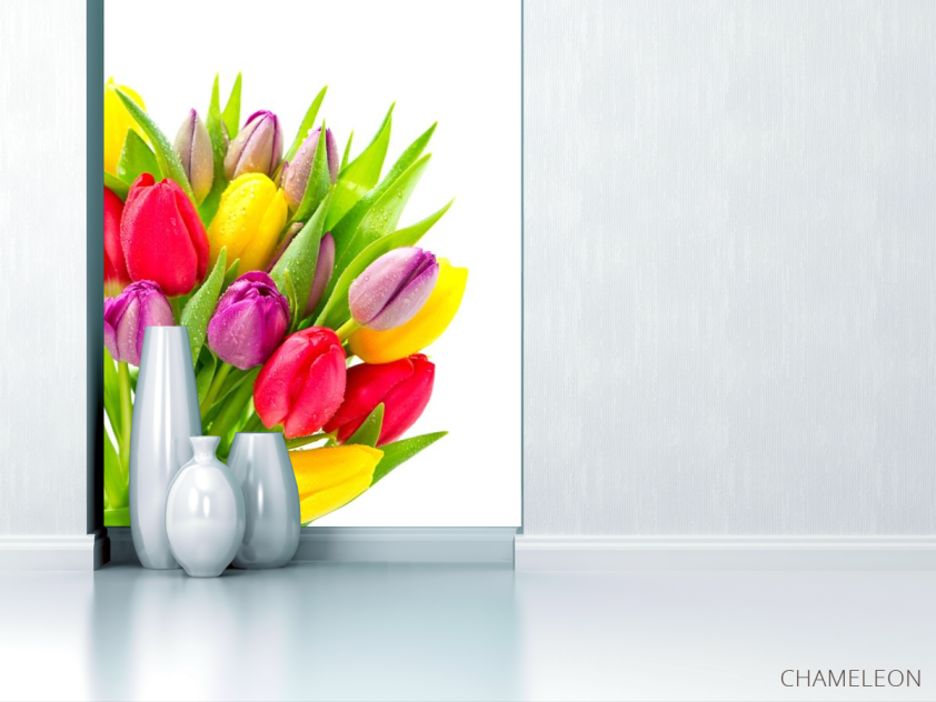 Фотообои разноцветные тюльпаны с каплями - 1