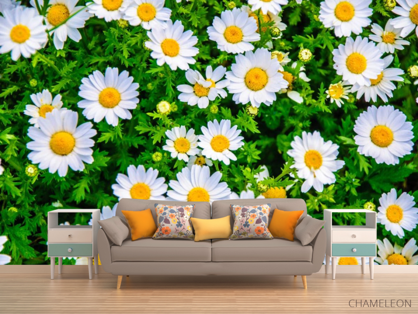 Фотообои ромашки и зелень - 1