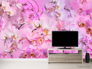 Фотообои Дизайнерская коллекция - 2