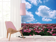 Фотошпалери Квіти, небо, хмари - 4