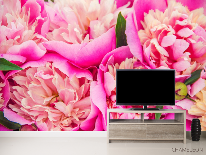 Фотообои Ярко розовые пионы - 2