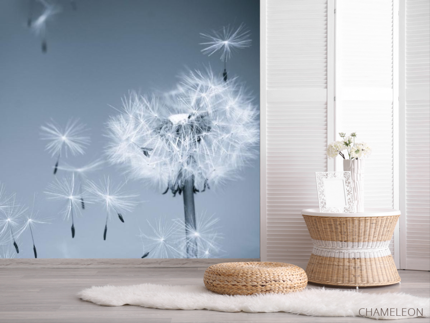 Фотошпалери Сірі кульбаби - 2