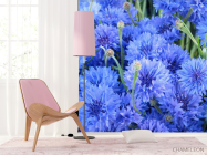 Фотошпалери Блакитні волошки - 4