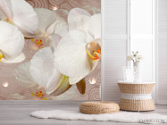 Фотошпалери 3D квіти - 2