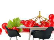 Фотошпалери калина - 1