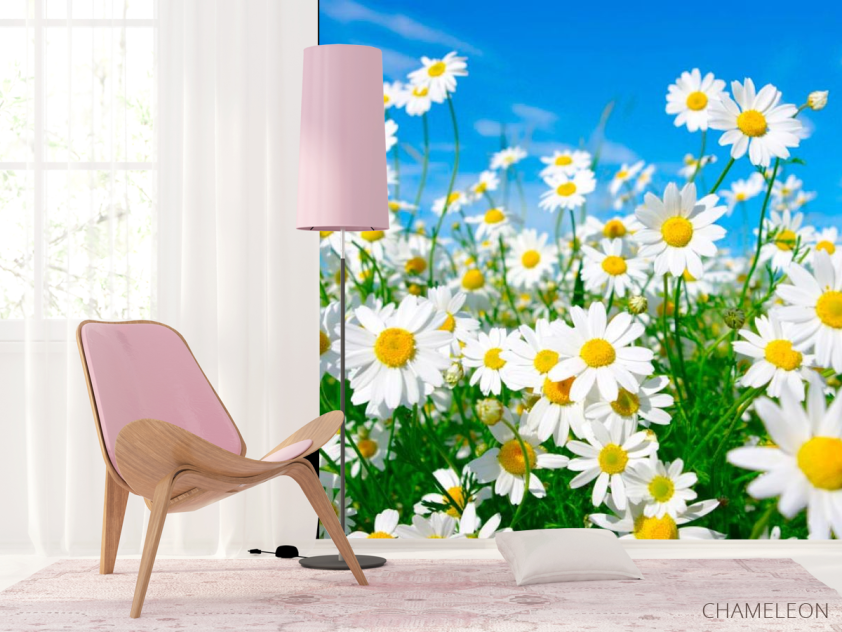 Фотошпалери Ромашки в степу - 4