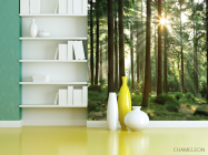 Фотошпалери ліс зі стрункими деревами - 3