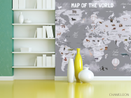 Фотошпалери сіра карта для дитячої англійською мовою - 3