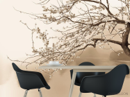 Фотошпалери на човні під квітучим деревом - 1