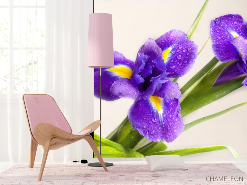 Фотошпалери синій квітка - 4