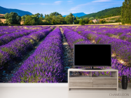 Фотообои поле цветов - 2