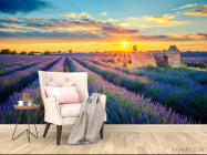 Фотообои разрушеный домик в лавандовом поле - 4