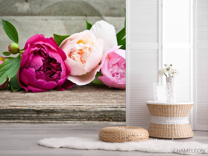 Фотошпалери рожеві півонії - 2