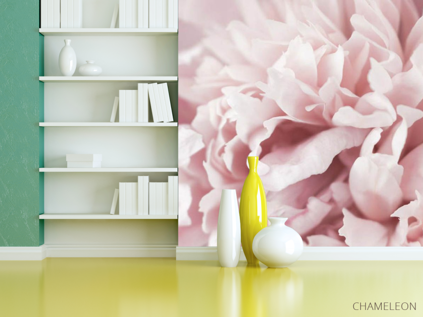 Фотошпалери Півонія макро - 3