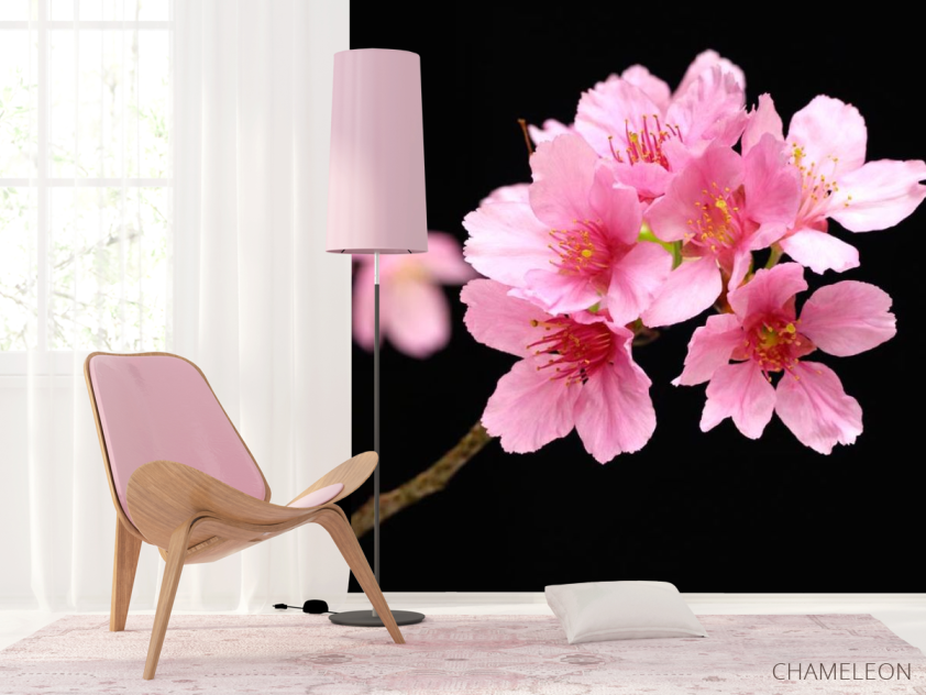 Фотошпалери Рожеві квіти персикові - 4