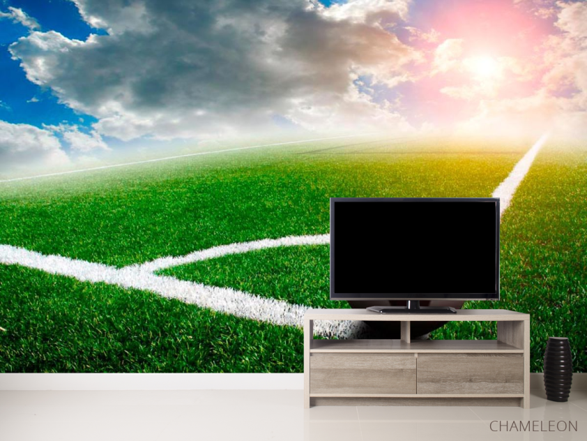 Фотообои Перед пробитием углового - 2