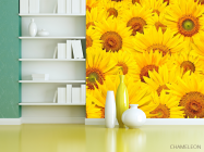 Фотошпалери Поле соняшників - 3