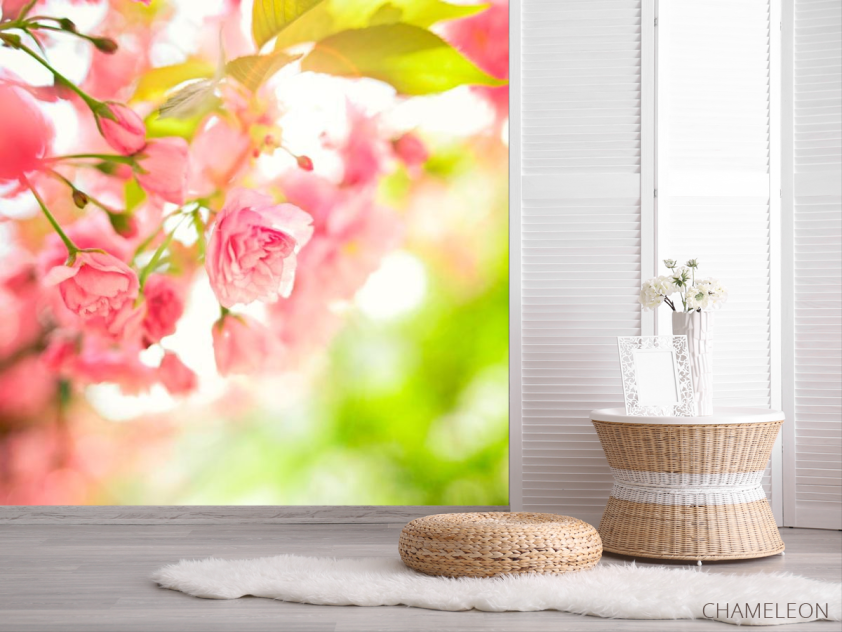 Фотошпалери Квітуче дерево - 2