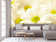 Фотообои Ромашки большие - 3