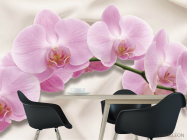 Фотошпалери орхідея - 1