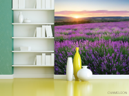 Фотошпалери Лавандове поле - 3