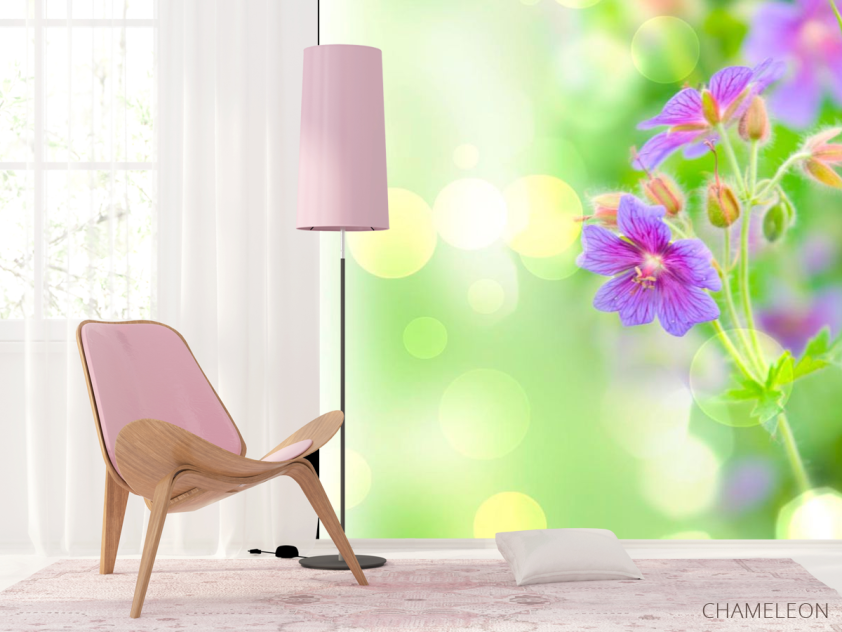 Фотообои Фиолетовый полевой цветок - 4