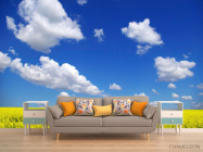 Фотообои Цвет и небо - 1