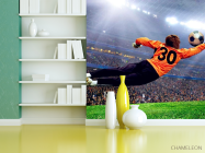 Фотошпалери Воротар ловить м'яч - 3