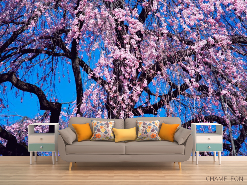 Фотообои Цветущая сакура - 1