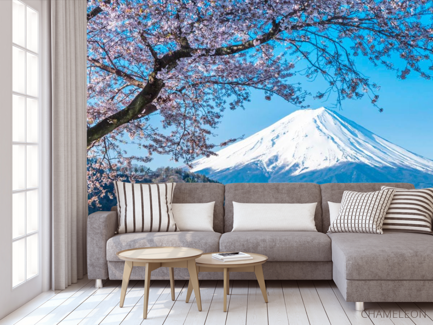 Фотообои Гора, снег,цвет - 3