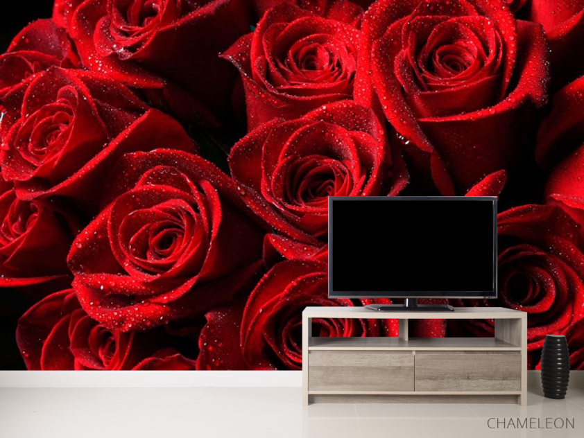 Фотообои Букет роз алого цвета - 2