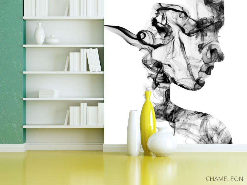 Фотошпалери силует з диму 3д - 3