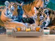 Фотообои Два тигра - 1