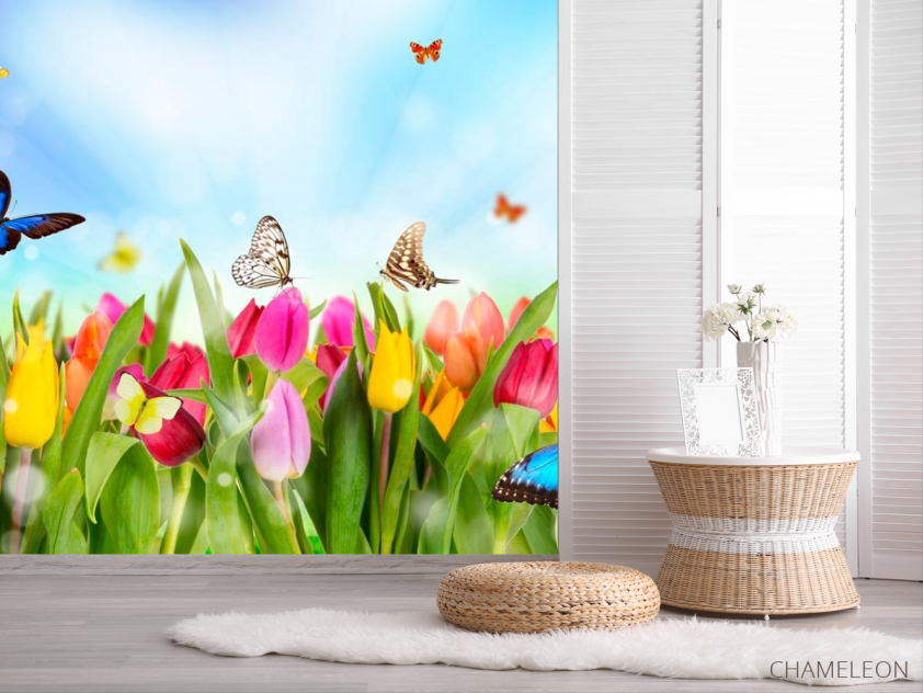 Фотошпалери Тюльпани, поле, метелики - 2