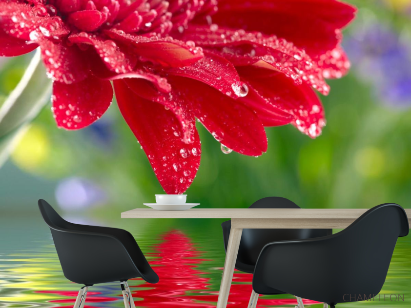 Фотошпалери червоний квітка над водою - 1