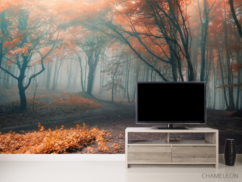 Фотообои осенний лес - 2