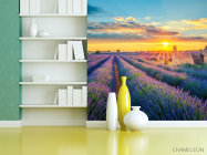 Фотошпалери зруйноване будиночок у лавандовом полі - 3