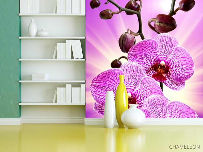 Фотошпалери леопардова орхідея з сяйвом - 3