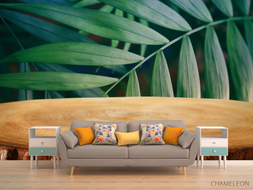 Фотообои пенек в лесу - 1