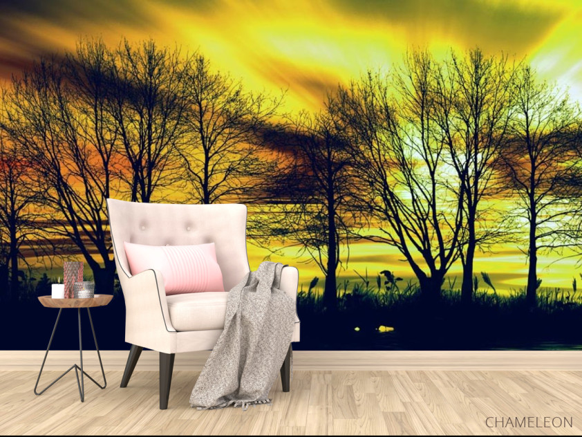 Фотообои желтое небо за деревьями - 4