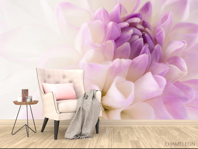 Фотообои бело-сиреневый цветок - 4