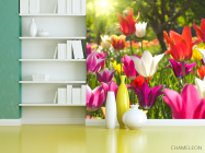 Фотошпалери Гострокінцеві тюльпани - 3