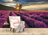 Фотообои Лавандовое поле - 4