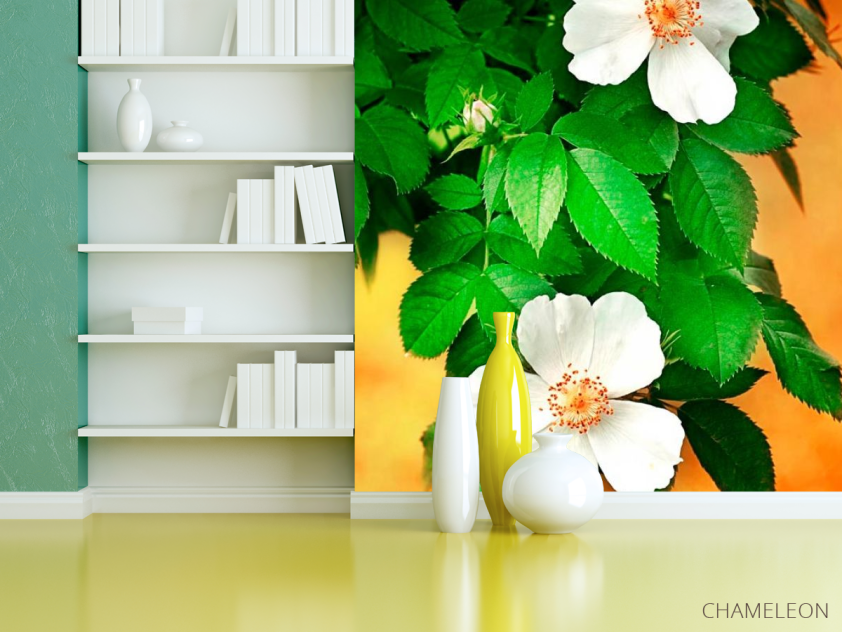 Фотошпалери Цвіте шипшина - 3