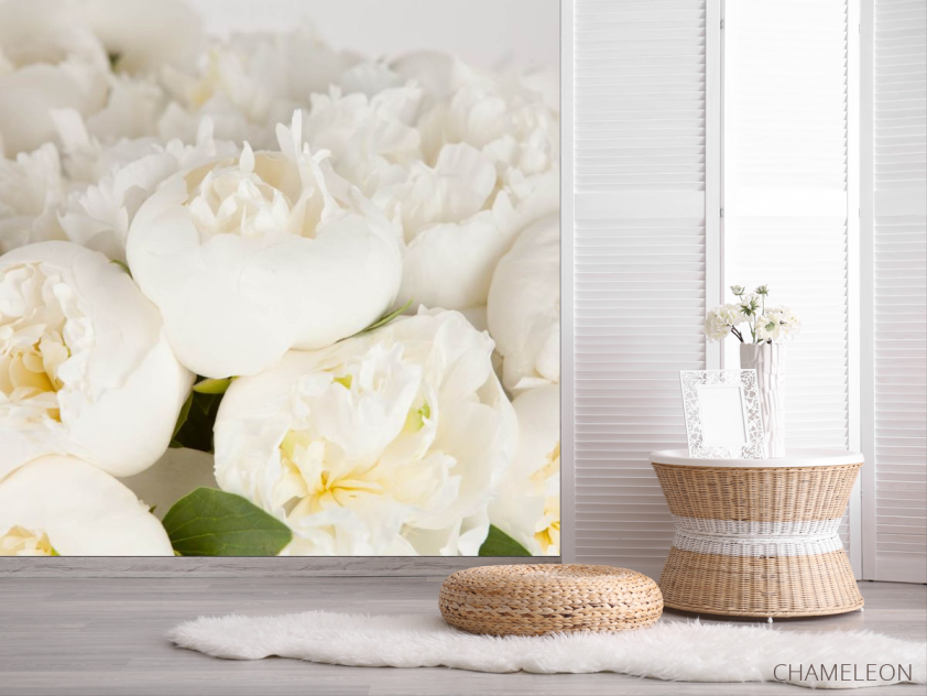 Фотошпалери білі півонії - 2