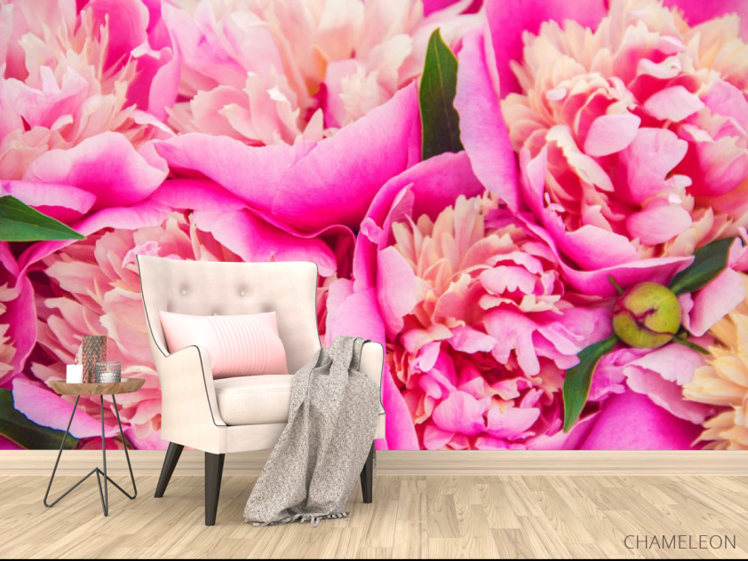 Фотообои Ярко розовые пионы - 4