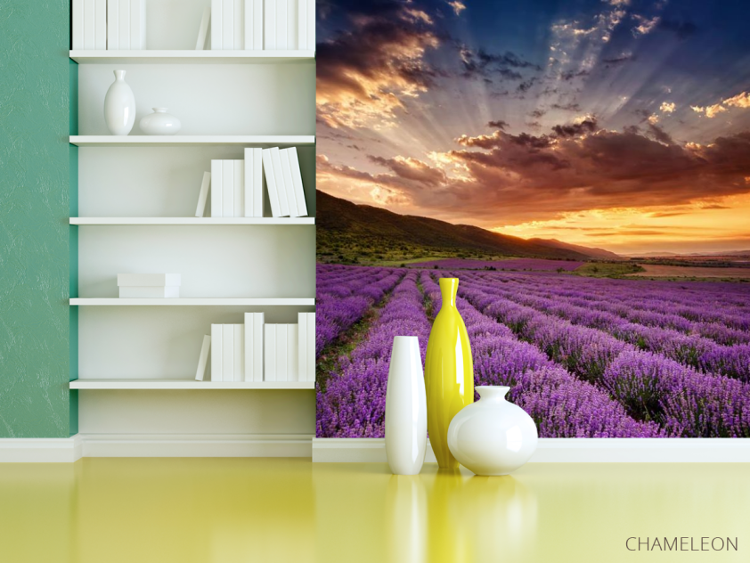 Фотошпалери захід сонця над полем бузковим - 3