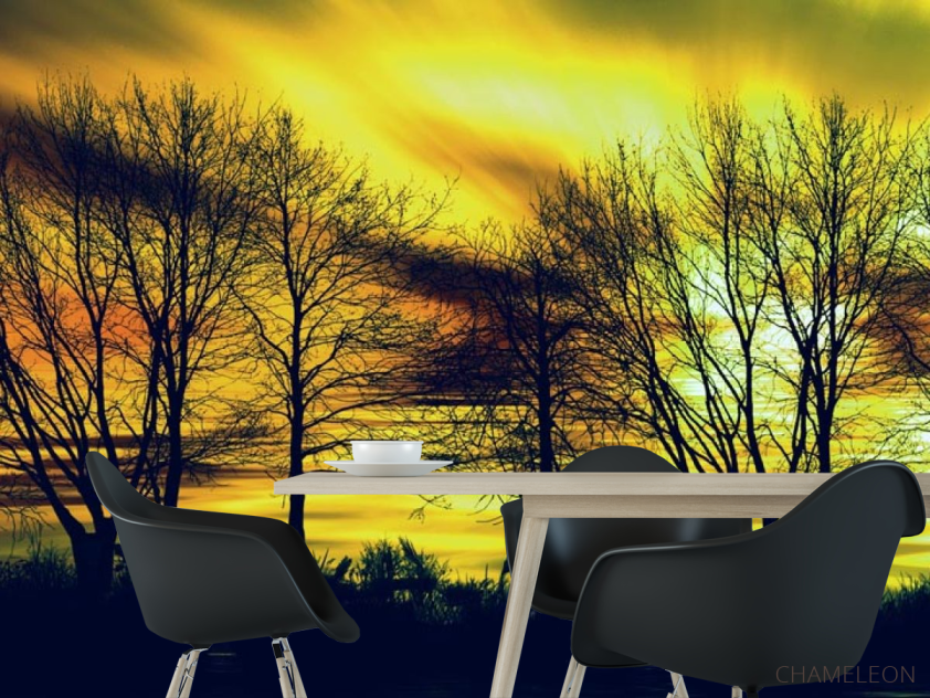 Фотошпалери жовте небо за деревами - 1