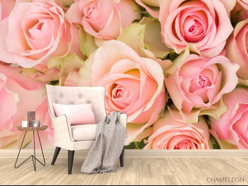 Фотообои roses - 4